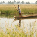 13KIPOKKALI_RICE_807015f